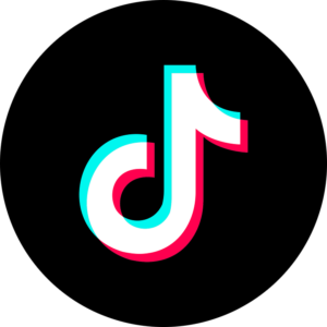 الربح عن طريق التيك توك