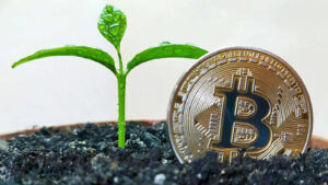 تأثير العملات الرقمية على البيئة