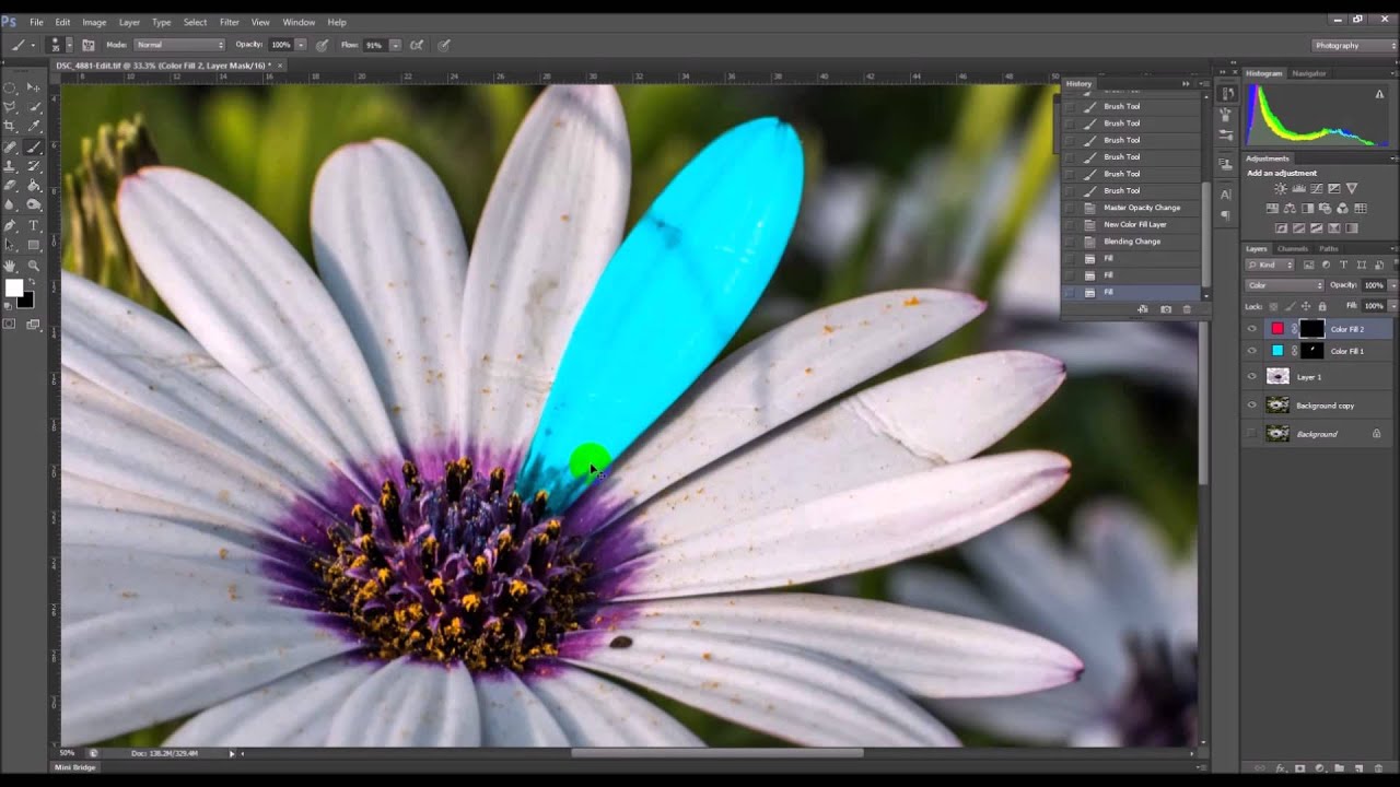 تغيير لون الصورة اون لاين باستخدام Photoshop Express
