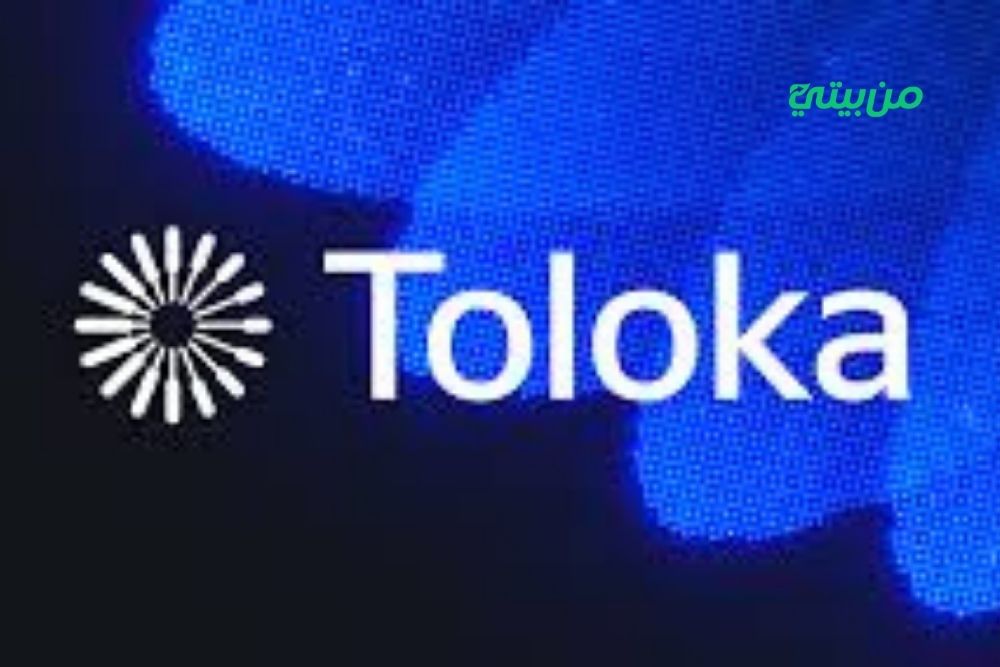 نصائح عن تطبيق toloka للربح منه